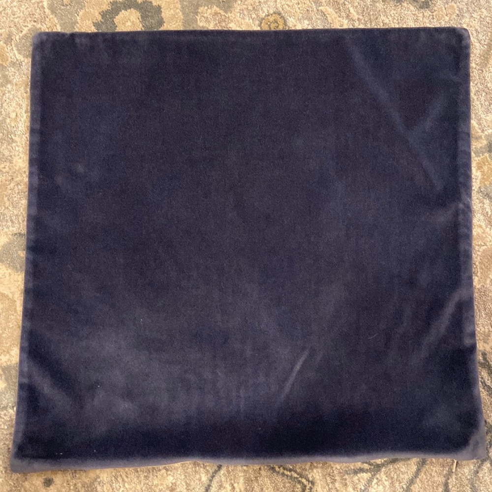 Pottery Barn Pillow Cover